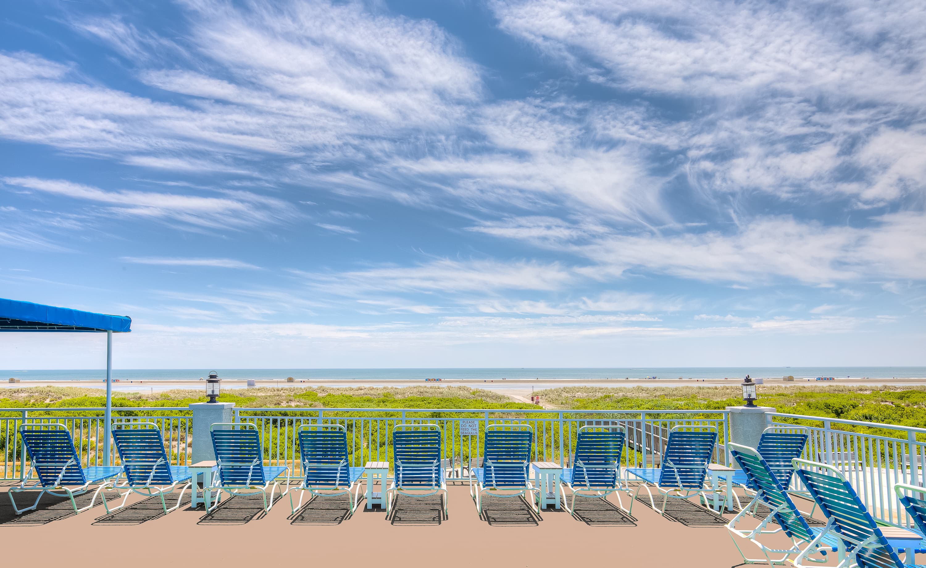 A row of blue lounge chairs overlooking a beach and ocean under a clear sky.