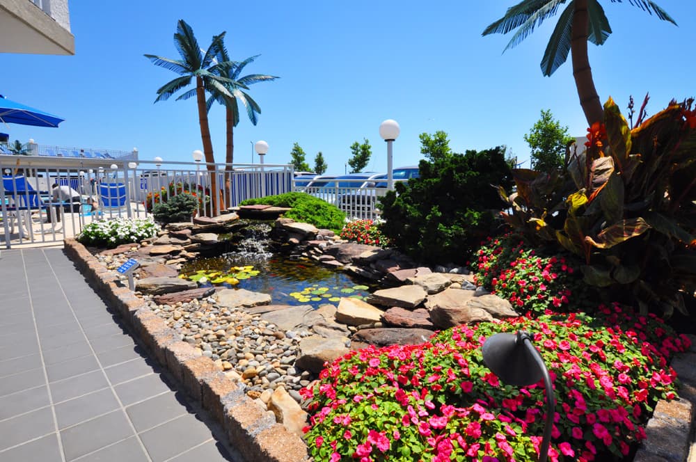 A landscaped area featuring a small pond surrounded by rocks and colorful flowers, with palm trees and a clear blue sky.