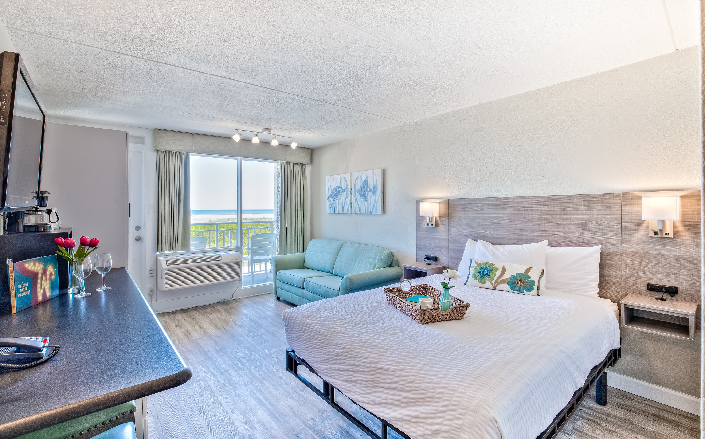 1 room layout with 1 queen bed and 1 sofa double