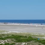 A scenic view of a beach with fine sand, greenery in the foreground, and a clear blue sky.